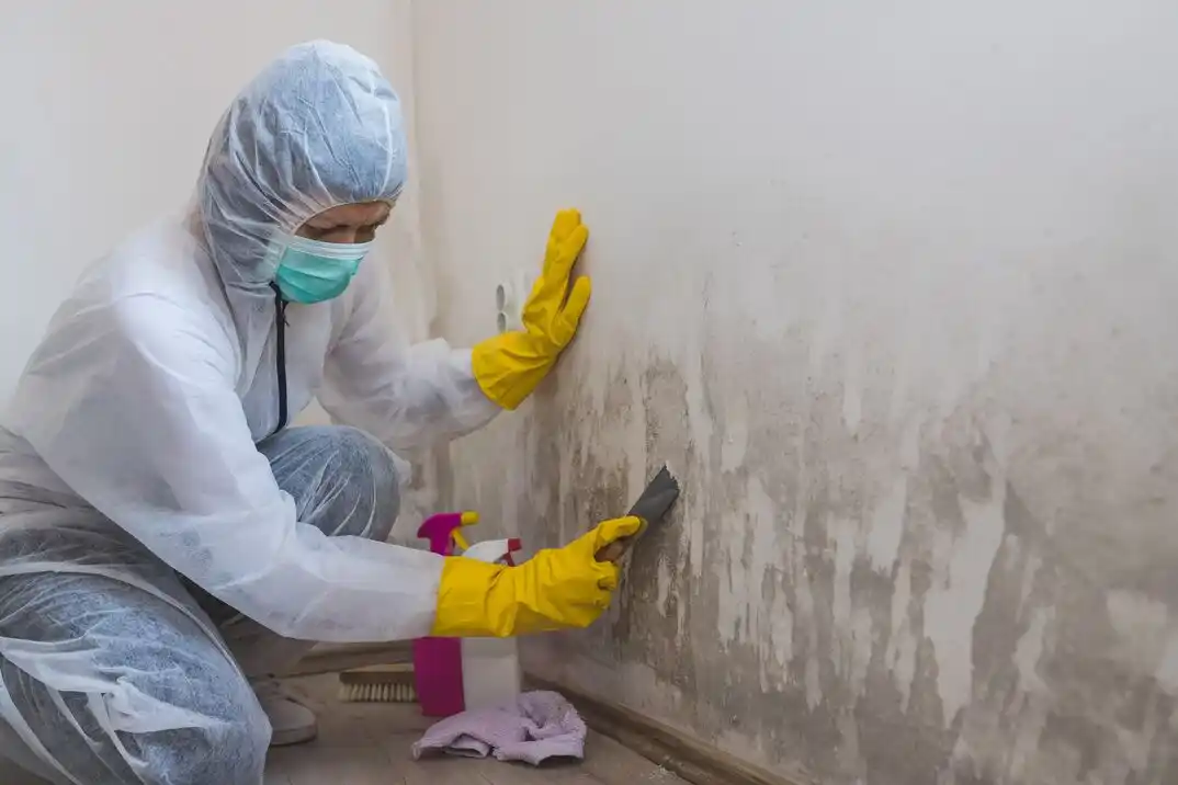 water damage restoration service Cypresswood Glenn